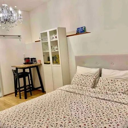 With Private Bathroom Near Vondelpark Bed & Breakfast