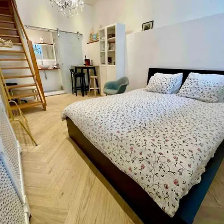 Bed & Breakfast With Private Bathroom Near Vondelpark